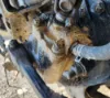 Picture of (Used) 2021 Freightliner Cascadia 126, STEERING BOX