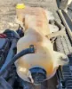Picture of (Used) 2021 Freightliner Cascadia 126, RADIATOR OVERFLOW BOTTLE/COOLANT RESERVOIR