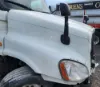 Picture of (Used) 2020 Freightliner Cascadia 125, HOOD ASSEMBLY