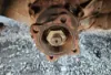 Picture of (Used) 2004 GMC W4500, COMPLETE REAR DIFFERENTIAL
