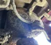Picture of (Used) 2000 Sterling L9500, AIR TANK (1)