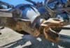 Picture of (Used) 2020 International MV607, DIFFERENTIAL GEARS ONLY