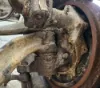 Picture of (Used) 2020 International MV607, FRONT SPINDLE/KNUCKLE