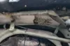 Picture of (Used) 2020 International MV607, WIPER MOTOR