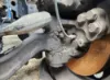 Picture of (Used) 2023 Kenworth T680, FRONT SPINDLE/KNUCKLE