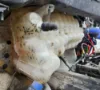 Picture of (Used) 2026 Kenworth T680, RADIATOR OVERFLOW BOTTLE/COOLANT RESERVOIR