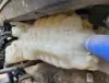 Picture of (Used) 2026 Kenworth T680, RADIATOR OVERFLOW BOTTLE/COOLANT RESERVOIR