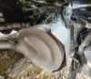 Picture of (Used) 2026 Kenworth T680, DIESEL PARTICULATE FILTER