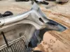 Picture of (Used) 2022 International LT625, HOOD ASSEMBLY