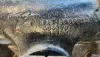 Picture of (Used) 2004 International 9400I, STEERING BOX
