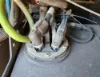 Picture of (Used) 2019 International LT625, DEF TANK