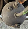 Picture of (Used) 2004 International 9400I, AIR TANK (1)