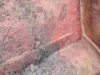 Picture of (Used) 2004 Peterbilt 385, HOOD ASSEMBLY