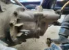 Picture of (Used) 2004 Peterbilt 385, FRONT DIFFERENTIAL GEARS ONLY