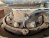 Picture of (Used) 2006 Freightliner Columbia 120, REAR DIFFERENTIAL HUBS