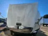 Picture of (Used) 2006 Freightliner Columbia 120, HOOD ASSEMBLY