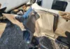 Picture of (Used) 2006 Freightliner Columbia 120, HOOD ASSEMBLY