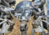 Picture of (Used) 2018 Freightliner Columbia 120 Glider, REAR DIFFERENTIAL GEARS ONLY