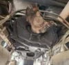 Picture of (Used) 2017 Eaton/Fuller (MT), TRANSMISSION ASSEMBLY