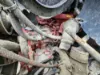 Picture of (Used) 2019 Cummins L9 370, ENGINE ASSEMBLY