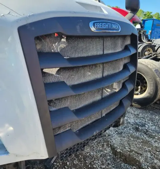 Picture of (Used) 2019 Freightliner Cascadia 126, GRILLE
