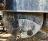 Picture of (Used) 2019 Freightliner Cascadia 125, AIR TANK (1)