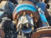 Picture of (Used) 2006 Western Star 4900 FA, COMPLETE AXLE HOUSING REAR REARS