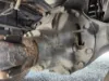 Picture of (Used) 2016 Kenworth K370, DIFFERENTIAL GEARS ONLY