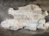 Picture of (Used) 2016 Kenworth K370, FRONT AXLE COMPLETE