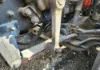 Picture of (Used) 2014 Peterbilt 337, FRONT LEAF SPRINGS