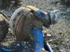 Picture of (Used) 2012 Peterbilt 365, FRONT AXLE COMPLETE