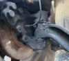 Picture of (Used) 2020 Freightliner Cascadia 126, FRONT SPINDLE/KNUCKLE