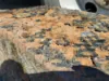 Picture of (Used) 2016 Kenworth K370, BATTERY BOX COVER