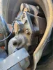 Picture of (Used) 2020 Freightliner Cascadia 126, BRAKE CALIPER REAR TANDEM