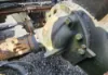 Picture of (Used) 2006 Volvo VNL, REAR DIFFERENTIAL GEARS ONLY
