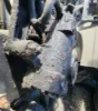 Picture of (Used) 2006 Volvo VNL, STEERING BOX