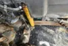 Picture of (Used) 2006 Volvo VNL, FRONT LEAF SPRINGS