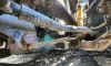Picture of (Used) 2006 Volvo VNL, FRONT LEAF SPRINGS