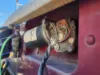 Picture of (Used) 2012 Peterbilt 367, WIPER MOTOR