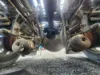 Picture of (Used) 2012 Peterbilt 367, REAR DIFFERENTIAL HOUSING ONLY