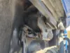 Picture of (Used) 1997 Volvo FE, WIPER MOTOR