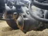Picture of (Used) 2026 Freightliner Cascadia 126, FRONT DIFFERENTIAL GEARS ONLY