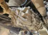 Picture of (Used) 2020 PACCAR (AT), TRANSMISSION ASSEMBLY