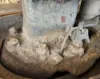 Picture of (Used) 2021 Kenworth T880, REAR DIFFERENTIAL HUBS