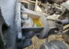 Picture of (Used) 2021 Kenworth T880, FRONT DIFFERENTIAL GEARS ONLY