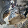 Picture of (Used) 2020 International RH613, DIESEL PARTICULATE FILTER