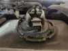 Picture of (Used) 2022 Freightliner Cascadia 126, DEF TANK