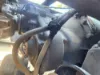 Picture of (Used) 2022 Freightliner Cascadia 126, FRONT DIFFERENTIAL GEARS ONLY