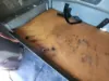 Picture of (Used) 2016 International PROSTAR, SLEEPER BUNK