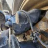Picture of (Used) 2024 International LT62F, BRAKE CALIPER FRONT TANDEM